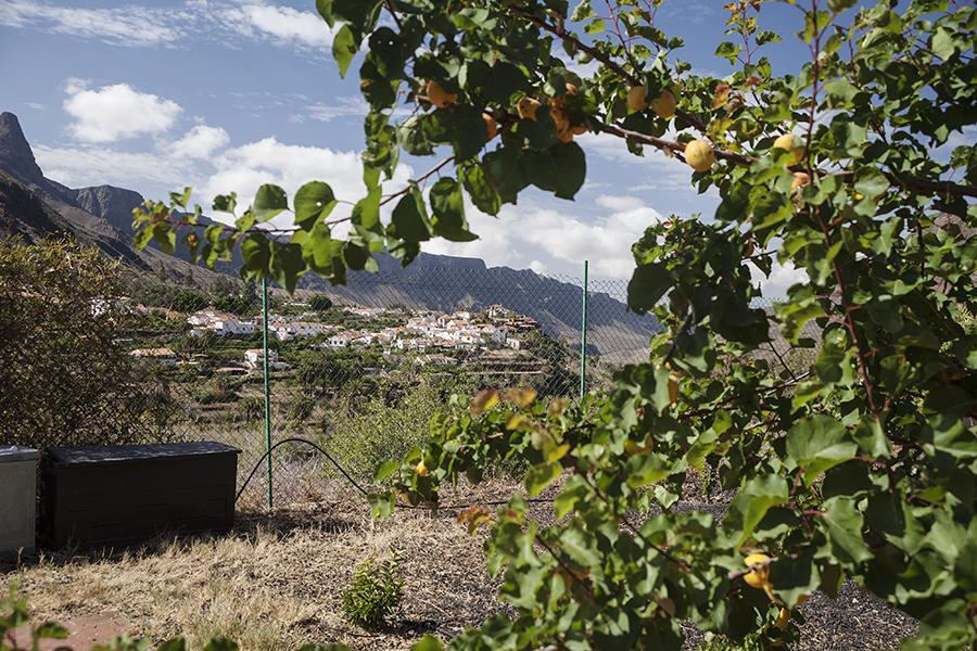 Fátaga Ecotara Canary Islandsゲストハウス 部屋 写真