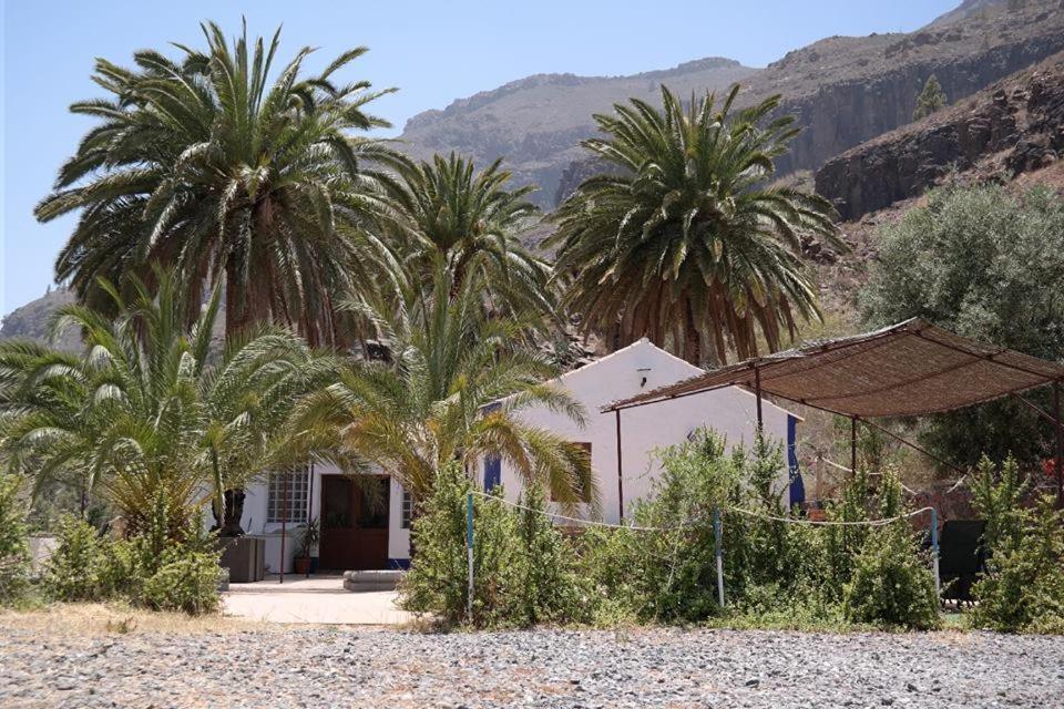 Fátaga Ecotara Canary Islandsゲストハウス エクステリア 写真